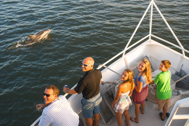 People on a boat smiling, watching a dolphin swimming nearby.