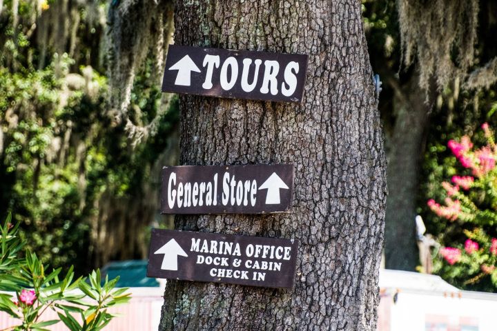 a sign in front of a tree