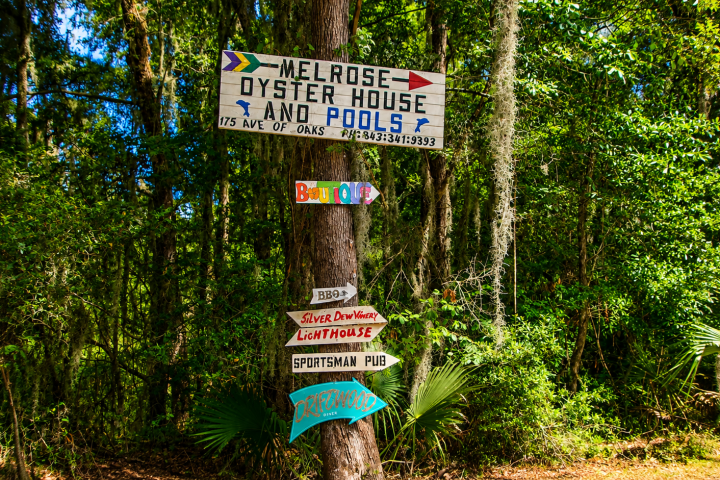 Colorful signs on tree point to various locations among dense green foliage.