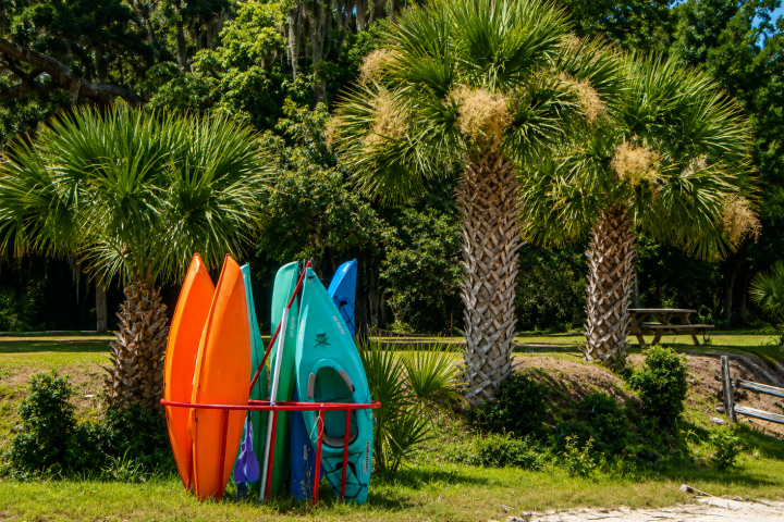 Colorful kayaks lean against palm trees in a sunny park.