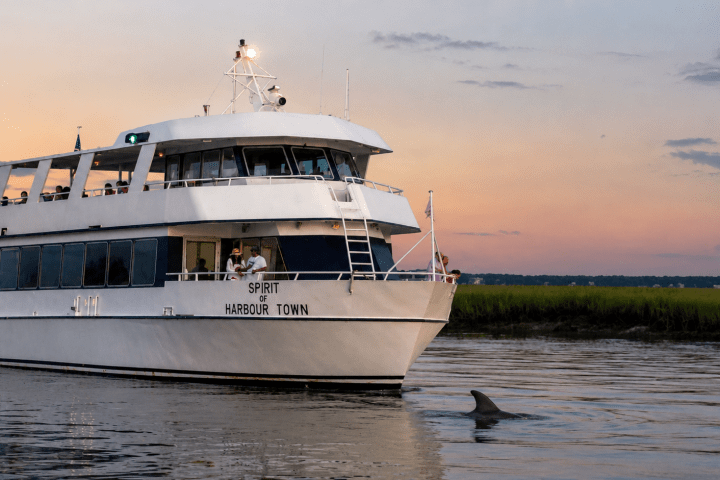 A white cruise boat on water with a dolphin nearby at sunset.