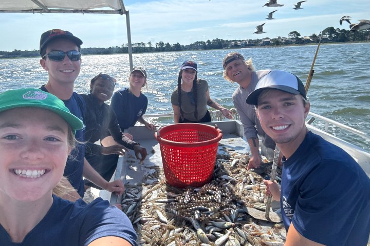 Group on a boat with a red basket surrounded by fish, smiling and enjoying a sunny day.