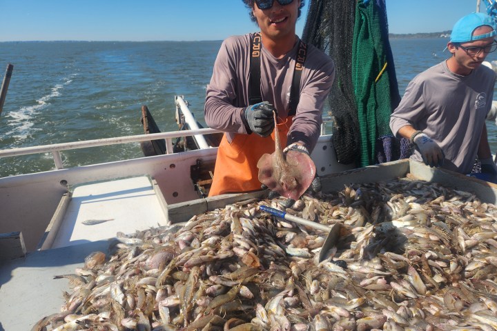 a group of people on a boat in the water