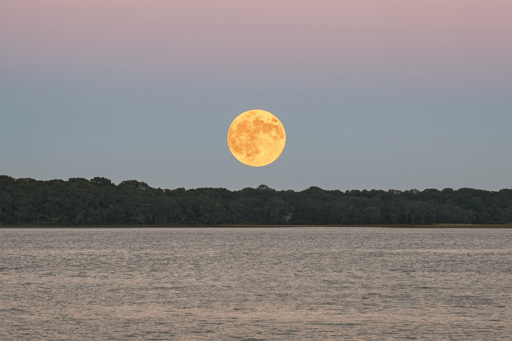 Full moon rising over a calm lake with a silhouette of trees and a pastel sky.