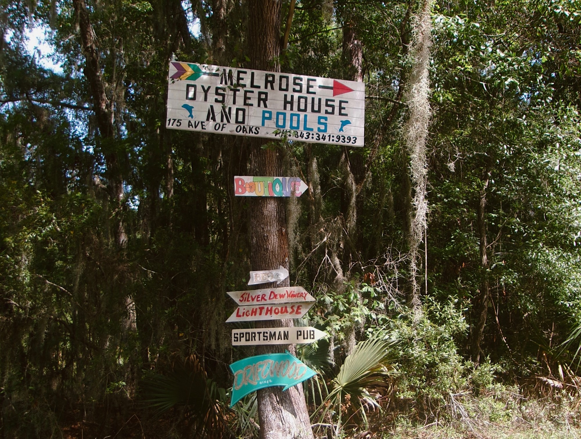 Tree with multiple colorful directional signs in a forested area.